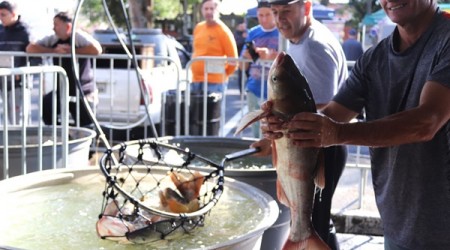 Feira do Peixe acontece nos dias 1º e 02 de abril na Rodoviárial Darci Andreassa